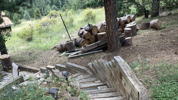 A wooden staircase leading up to a wooden structure, surrounded by greenery and logs.