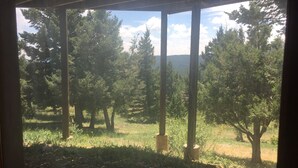 A covered outdoor area with a view of a forest and mountains.