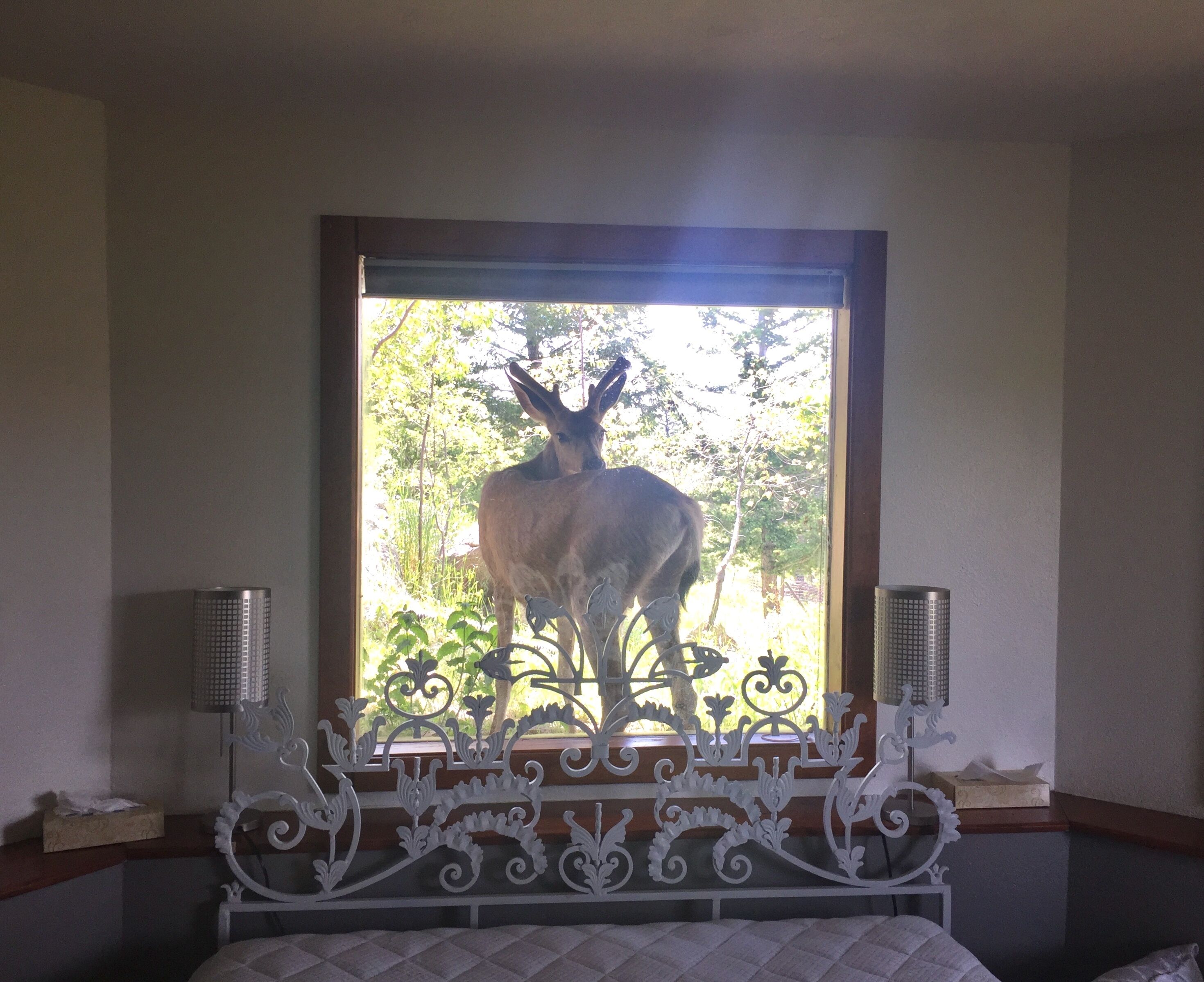 1 quarto, ferros/tábuas de passar roupa, Wi-Fi de cortesia