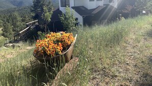 A house with a view of mountains, a wooden deck, and a flower pot.