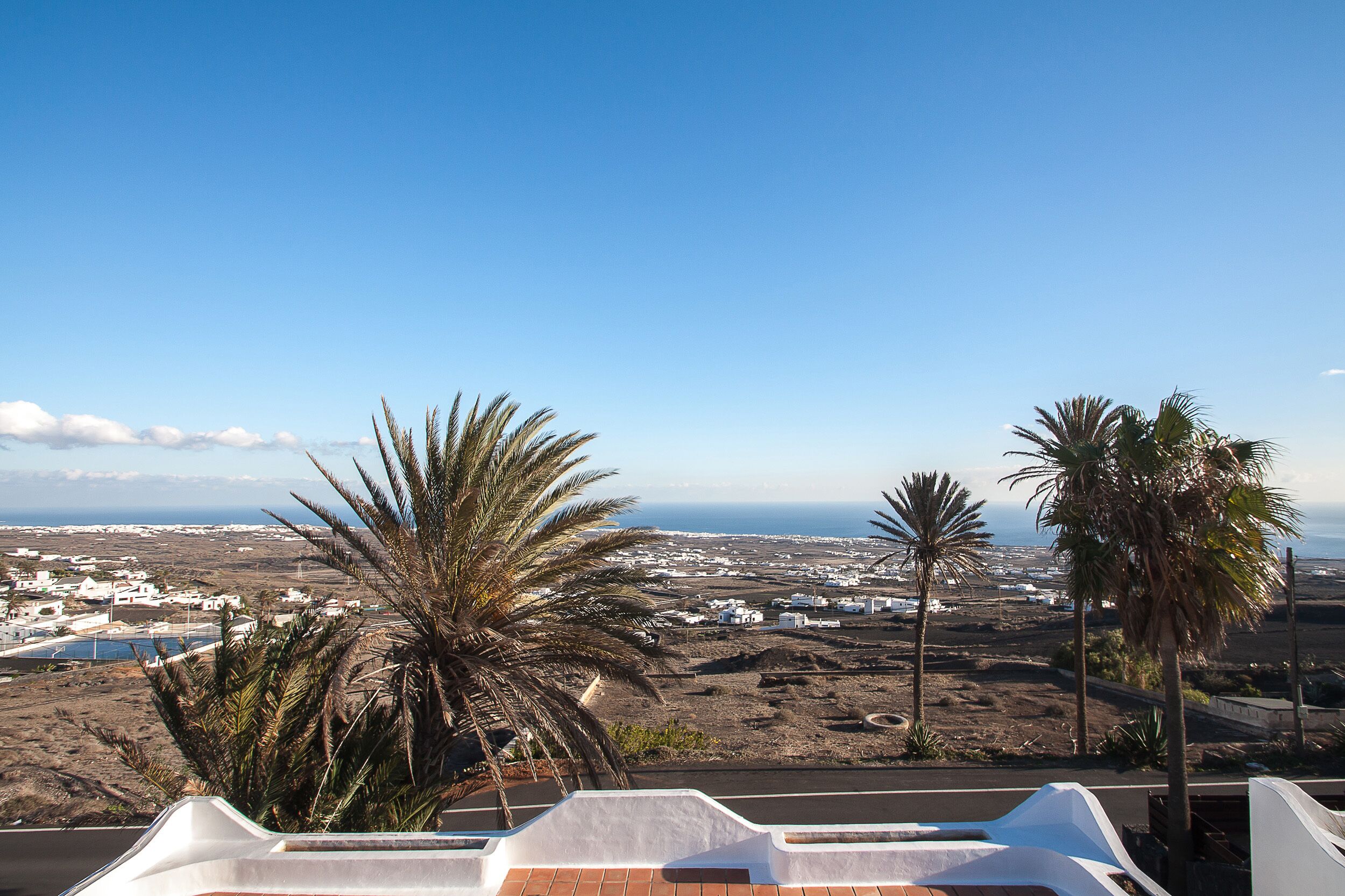 Vista costera con palmeras y cielo despejado.
