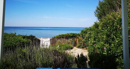 VILLA AM MEER - VILLA FERRERO DOMUS MARIIS 50 METER VOM STRAND ENTFERNT