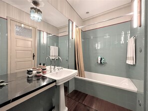 Combined shower/tub, hair dryer, bidet, towels
