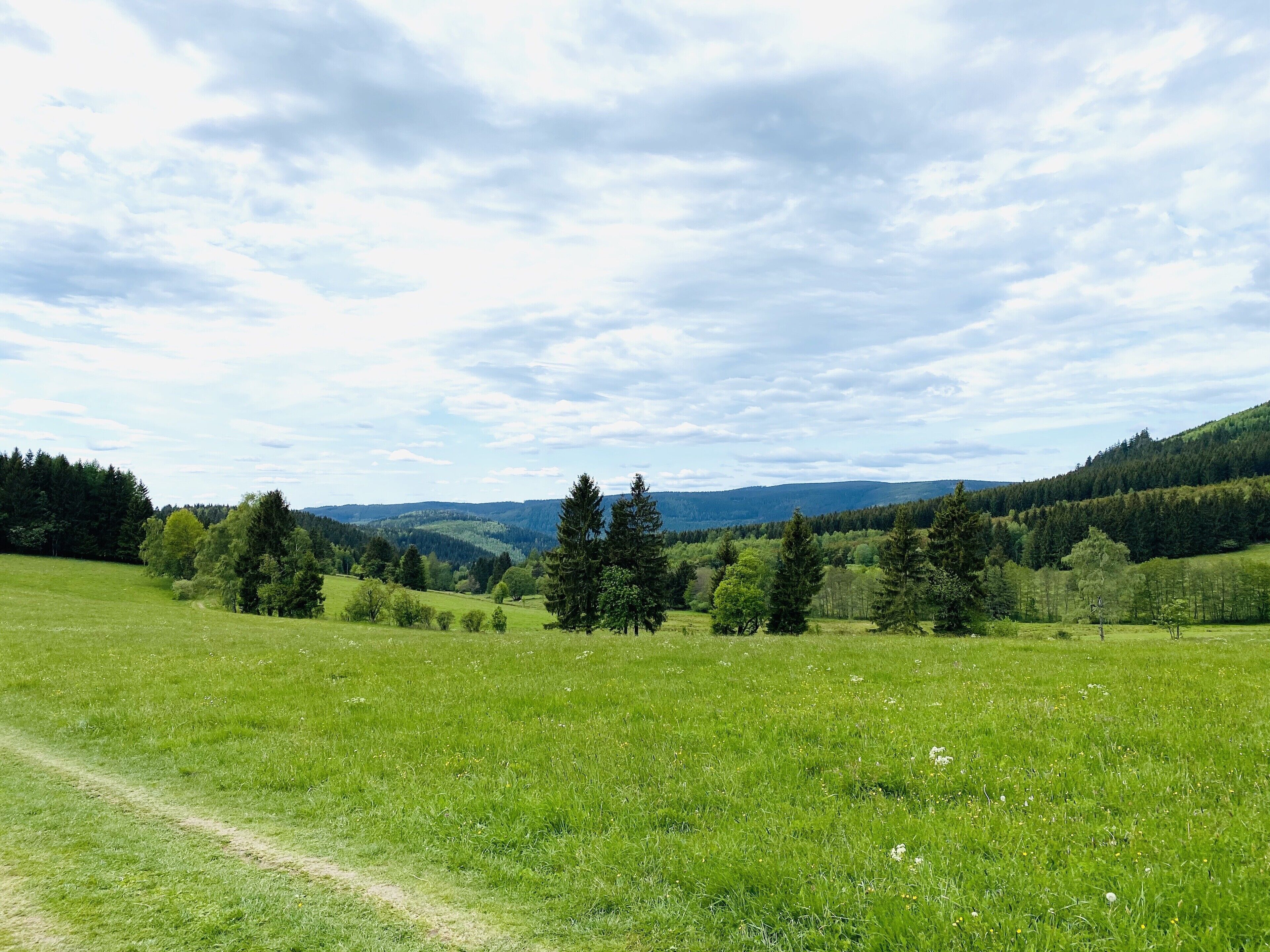 A grassy field with a dirt path, trees, and a hilly landscape under a cloudy sky.