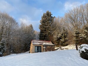 Exterior - Chic design cottage with sauna, open fires and plenty of peace and quiet near the forest, terrace (Zella- Mehlis)