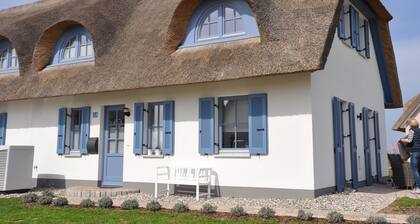 ChaumiĂšre dans la baie de Wismar