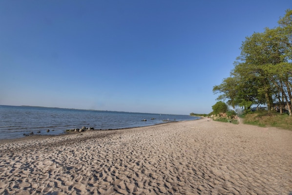 Playa en los alrededores 