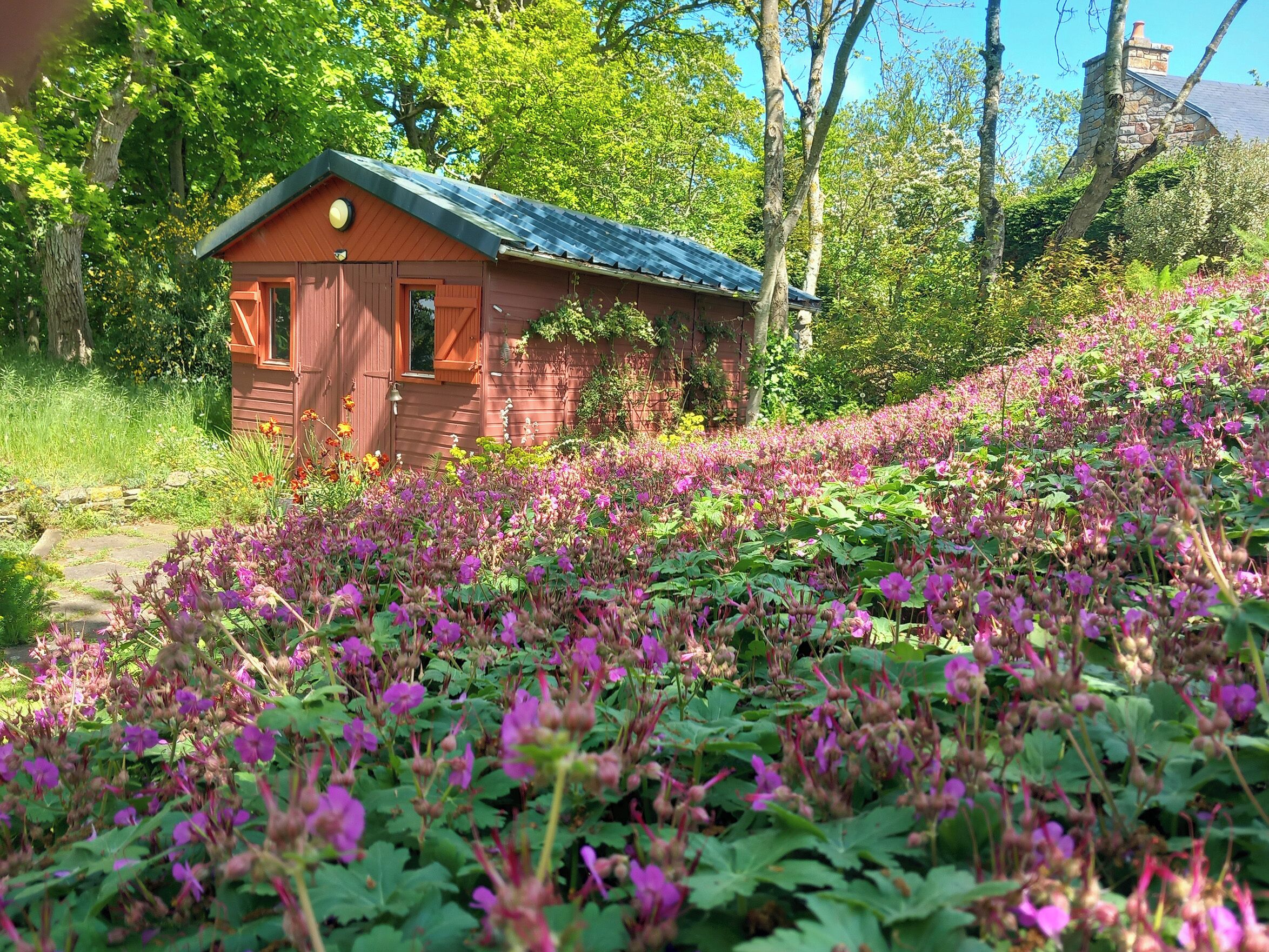 Àrea exterior de l'allotjament