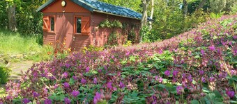 Quiet and seaside in charming house 3000 m2 park