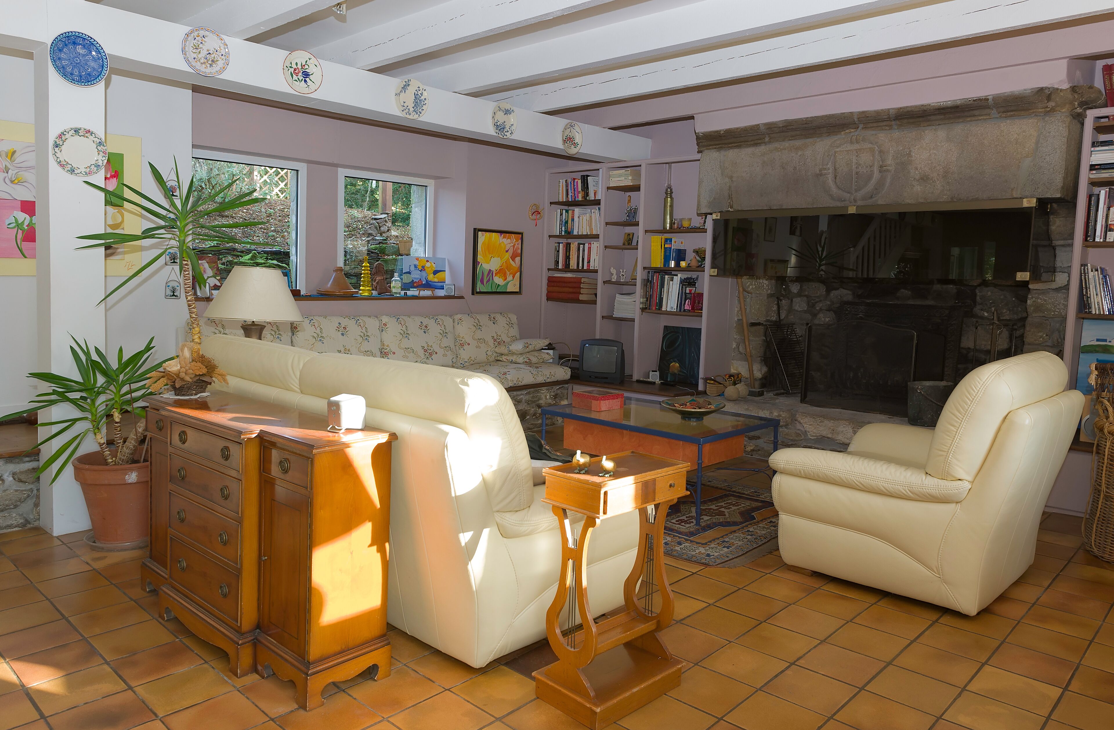 Télévision, cheminée, lecteur de DVD, livres