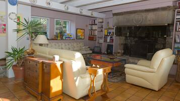 Télévision, cheminée, lecteur de DVD, livres