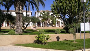 A courtyard with palm trees, a cactus, and a building with a tiled roof. - Apartment by the pool (SAN MIGUEL DE SALINAS)