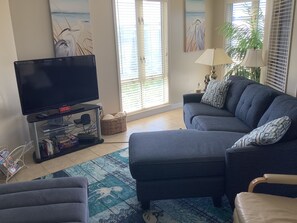 TV, DVD player, video library