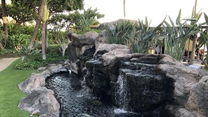 Un estanque de carpas con cascada, rodeado de rocas y follaje.