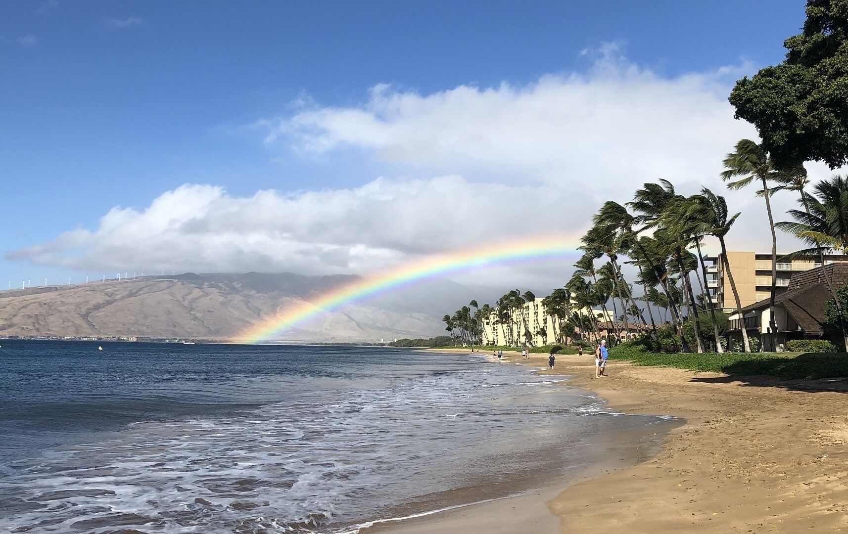 Plage, chaises longues, serviettes de plage