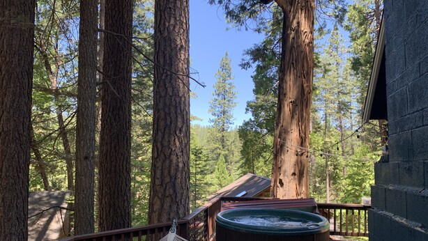 A wooden deck with a hammock, a hot tub, and a view of tall trees.