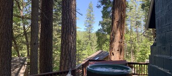 Cozy Cabin With A Short Walk To Fly In Lake/Blue Lake Springs