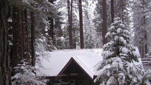 A cabin with a snow-covered roof, surrounded by tall pine trees.