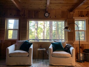 テレビ、暖炉、DVD プレーヤー、書庫