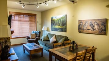 TV, fireplace, DVD player