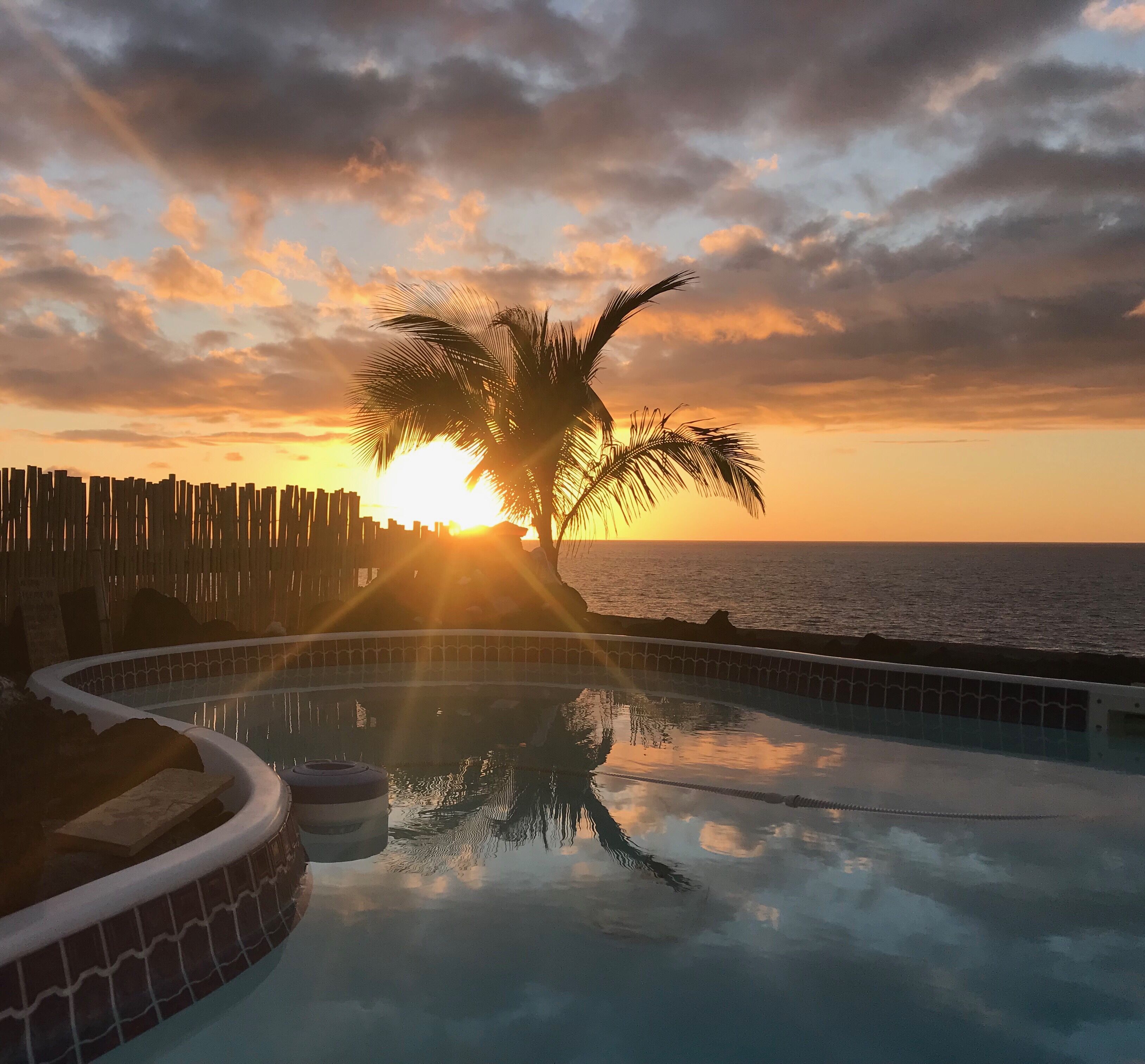 Zwembad met een palmboom en een houten hek, reflecterend de zonsondergang boven de oceaan.