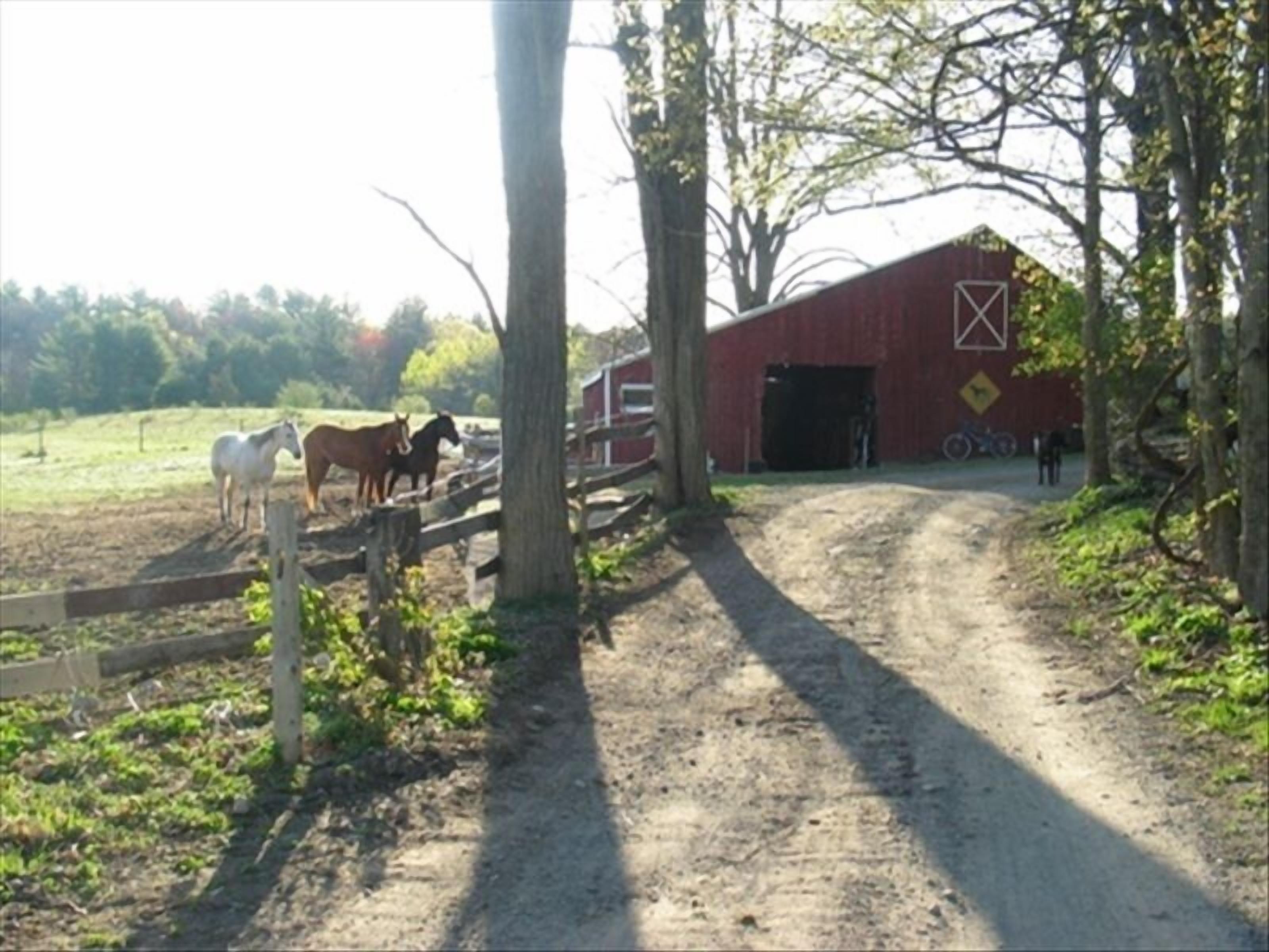 Mr Ed's Cabin on 27 acre Horse Farm Hot Tub & Stream
