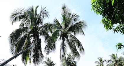 Palm Beach Resort&Spa Sanya