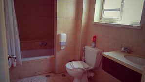 Un baño con inodoro, lavamanos y ducha.