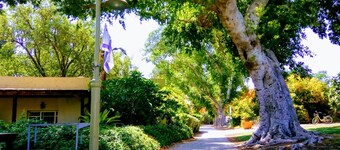 Kibbutz Tiratzvi - Country Lodging