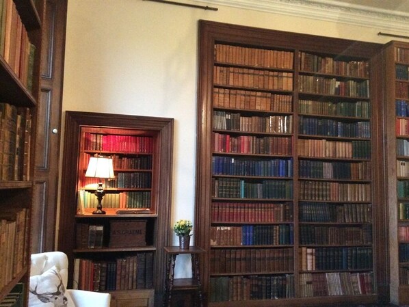 A library with bookshelves, a reading chair, and a lamp.
