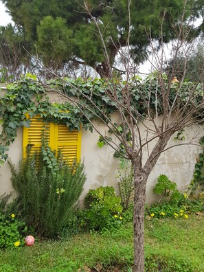 El jardín desde otro angulo