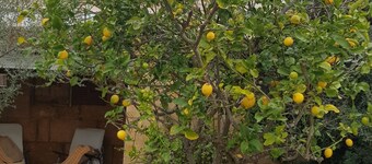 Casita sud de pêche de l'île