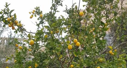 Casita fishing south of the island