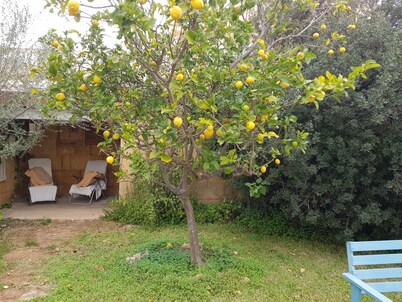 Casita marinera al sur de la isla