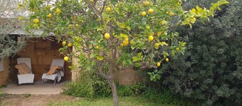 Casita marinera al sur de la isla