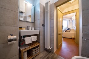 Shower, hair dryer, bidet, towels