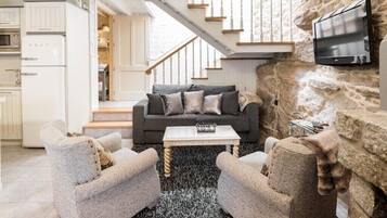 TV, fireplace, books