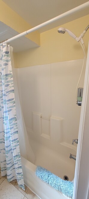 Ensemble douche/baignoire, sèche-cheveux, serviettes fournies, savon