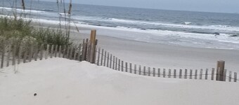 Make Waves And Come Out Of Your Shell! Steps To The Beach!