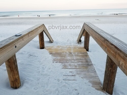Palm Trees and Ocean Breeze!