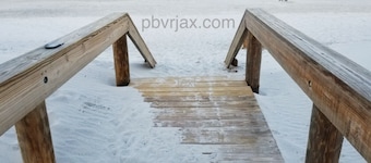 Palm Trees and Ocean Breeze!