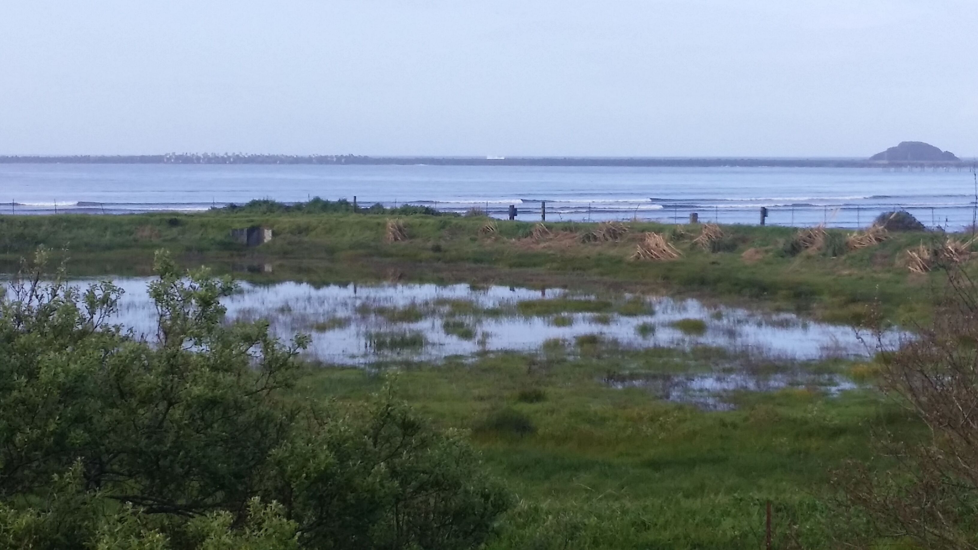 A coastal landscape with a marshy foreground, a distant shoreline, and a small hill.