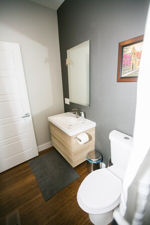 Combined shower/bathtub, hair dryer, towels, soap