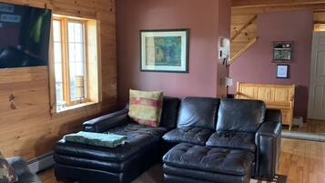 Smart TV, fireplace, DVD player, computer monitors