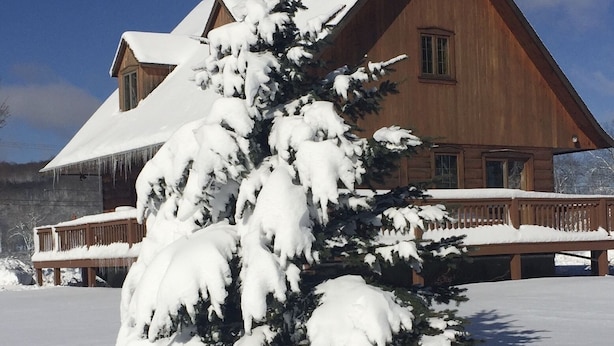 A wooden cabin with a snow-covered roof and a snow-laden evergreen tree in the foreground.