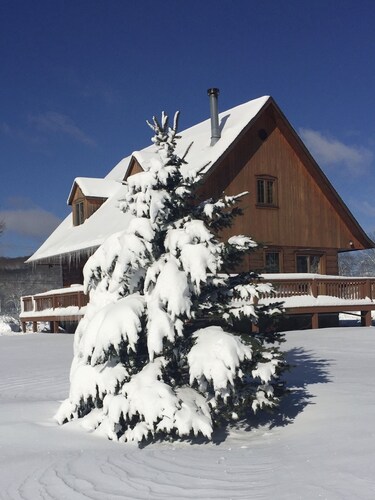 UNIQUE Log Style Cozy Ski Chalet - Walking Distance To Town - Pets Welcome