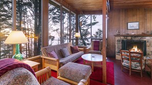 Fireplace, books, music library, stereo