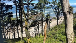 A coastal landscape with trees and a beach.