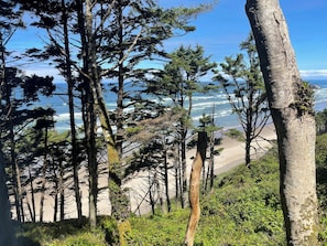 Un paisaje costero con árboles y una playa.