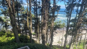 A forested area with a wooden deck and a view of the beach and ocean.